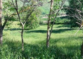 Foto 27 - Casa indipendente contrada masciano, Ariano Irpino - foto 27