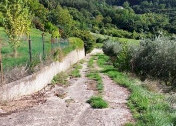 Foto 3 - Casa indipendente c/da valleluogo, Ariano Irpino - foto 3