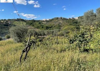 Foto 35 - Casa indipendente CONTRADA VASCAVINO, Ariano Irpino - foto 35