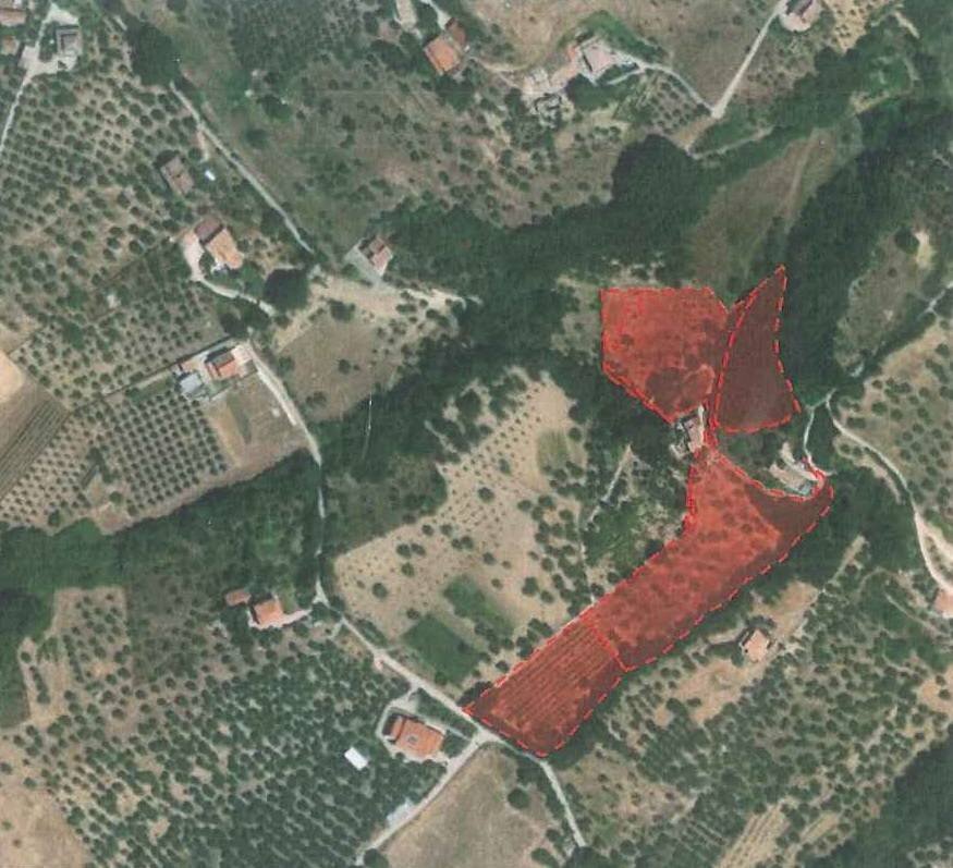 Foto 2 - Terreno agricolo contrada san tommaso, Ariano Irpino - foto 2