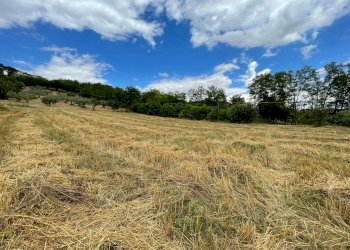 Foto 1 - Terreno agricolo contrada san tommaso, Ariano Irpino - foto 1
