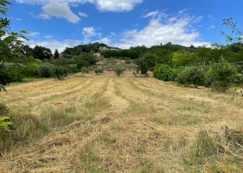 Foto 4 - Terreno agricolo contrada san tommaso, Ariano Irpino - foto 4