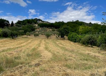 Foto 5 - Terreno agricolo contrada san tommaso, Ariano Irpino - foto 5