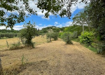 Foto 7 - Terreno agricolo contrada san tommaso, Ariano Irpino - foto 7