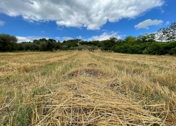 Foto 9 - Terreno agricolo contrada san tommaso, Ariano Irpino - foto 9