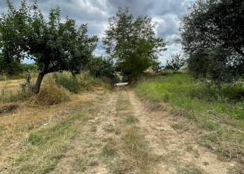 Foto 10 - Terreno agricolo contrada san tommaso, Ariano Irpino - foto 10