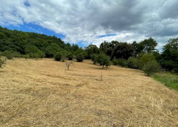 Foto 11 - Terreno agricolo contrada san tommaso, Ariano Irpino - foto 11