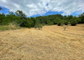 Foto 12 - Terreno agricolo contrada san tommaso, Ariano Irpino - foto 12