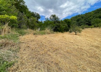 Foto 13 - Terreno agricolo contrada san tommaso, Ariano Irpino - foto 13