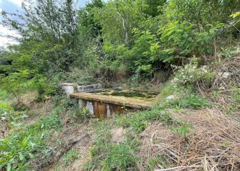 Foto 14 - Terreno agricolo contrada san tommaso, Ariano Irpino - foto 14