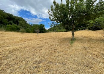 Foto 15 - Terreno agricolo contrada san tommaso, Ariano Irpino - foto 15