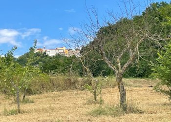 Foto 16 - Terreno agricolo contrada san tommaso, Ariano Irpino - foto 16