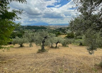 Foto 17 - Terreno agricolo contrada san tommaso, Ariano Irpino - foto 17