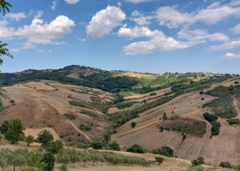 Foto 41 - Casa indipendente contrada masciano
 
56, Ariano Irpino - foto 41