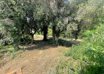 Foto 12 - Casa indipendente contrada san tommaso, Ariano Irpino - foto 12