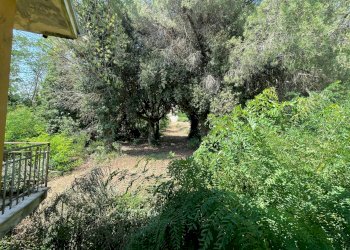 Foto 16 - Casa indipendente contrada san tommaso, Ariano Irpino - foto 16