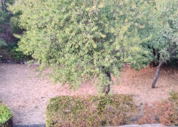 Foto 25 - Appartamento corso vittorio emanuele, Ariano Irpino - foto 24