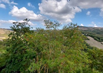 Foto 22 - Casa semi indipendente via orti, Zungoli - foto 21