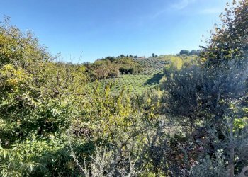 Foto 24 - Casa indipendente contrada cardito, Ariano Irpino - foto 23