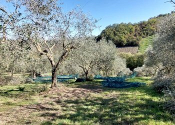 Foto 33 - Casa indipendente contrada cardito, Ariano Irpino - foto 32