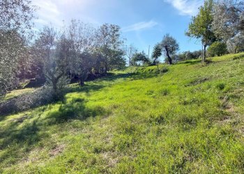 Foto 34 - Casa indipendente contrada cardito, Ariano Irpino - foto 33