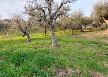 Foto 32 - Independent house contrada parzano, Ariano Irpino - photo 32