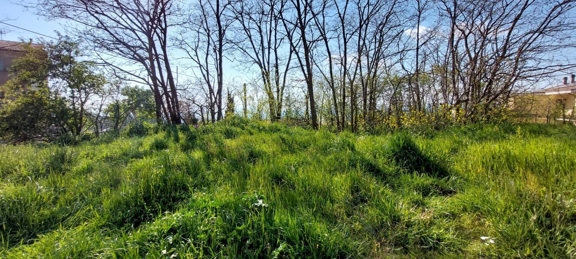 Foto 4 - Terreno edificabile contrada cesine, Ariano Irpino - foto 3