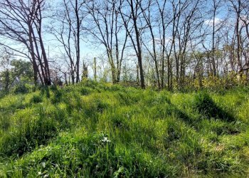 Foto 4 - Terreno edificabile contrada cesine, Ariano Irpino - foto 3