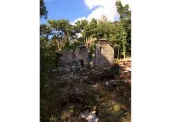 Giardino - Rustico Brenzone sul Garda - foto 4