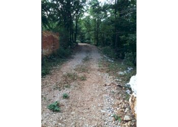 Giardino - Rustico Brenzone sul Garda - foto 6