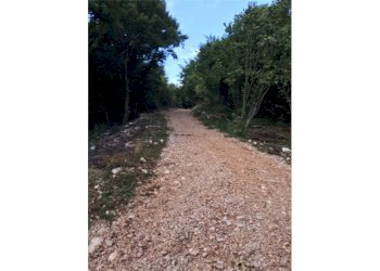 Giardino - Rustico Brenzone sul Garda - foto 7