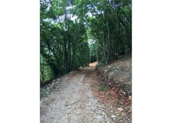 Giardino - Rustico Brenzone sul Garda - foto 8