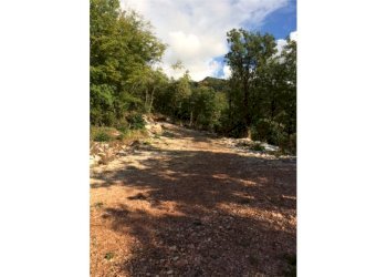 Giardino - Rustico Brenzone sul Garda - foto 9