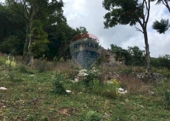 Giardino - Rustico Brenzone sul Garda - foto 10