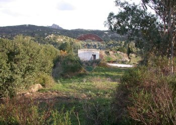 Vista delle montagne - Agriturismo Arzachena - photo 9