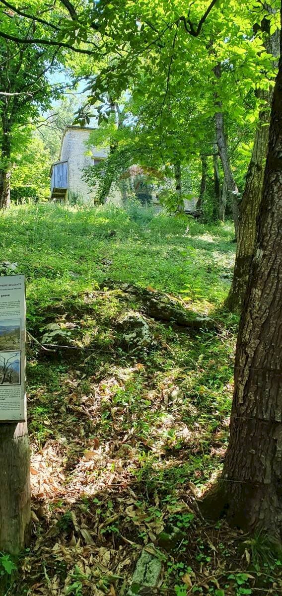 Giardino - Rustico Via Fasse
 
10, Brenzone sul Garda - foto 3