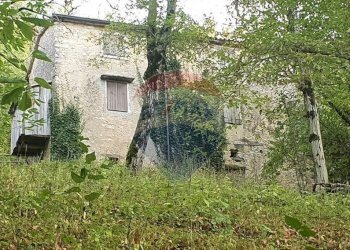 Giardino - Rustico Via Fasse
 
10, Brenzone sul Garda - foto 1