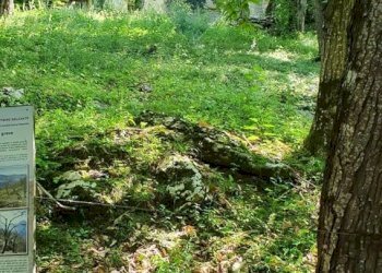 Giardino - Rustico Via Fasse
 
10, Brenzone sul Garda - foto 3