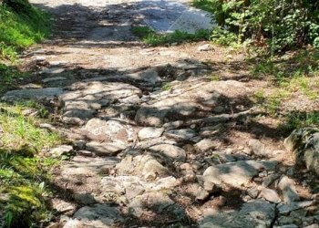 Giardino - Rustico Via Fasse
 
10, Brenzone sul Garda - foto 14