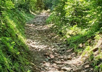 Giardino - Rustico Via Fasse
 
10, Brenzone sul Garda - foto 15