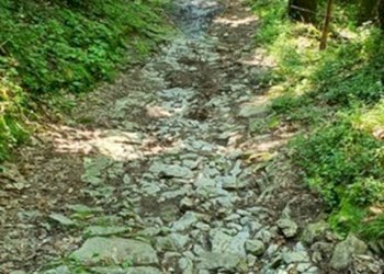 Giardino - Rustico Via Fasse
 
10, Brenzone sul Garda - foto 16