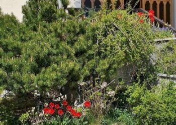 Giardino - Bilocale via Sole - loc. Prada
 
snc, Brenzone sul Garda - foto 21