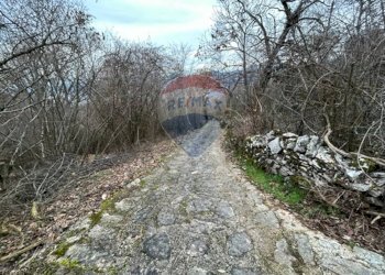 Giardino - Casa semi indipendente San Zeno di Montagna - foto 9