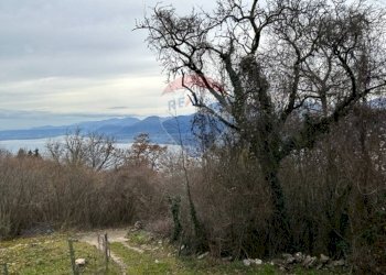 Vista delle montagne - Casa semi indipendente San Zeno di Montagna - foto 10