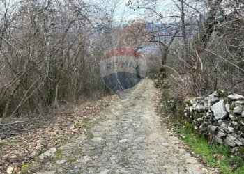Non correlato - Casa semi indipendente San Zeno di Montagna - foto 14