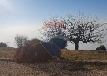 Giardino - Bilocale Brenzone sul Garda - foto 5