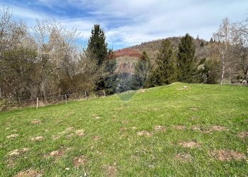 Giardino - Casa indipendente Brenzone sul Garda - foto 6