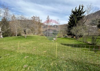 Giardino - Casa indipendente Brenzone sul Garda - foto 15