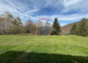 Giardino - Casa indipendente Brenzone sul Garda - foto 17