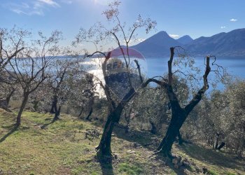 Vista delle montagne - Rustico Brenzone sul Garda - foto 6